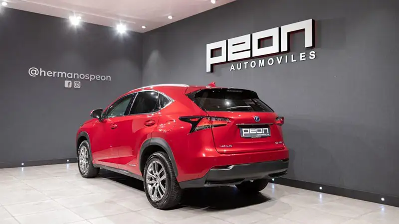 Lexus NX 300h