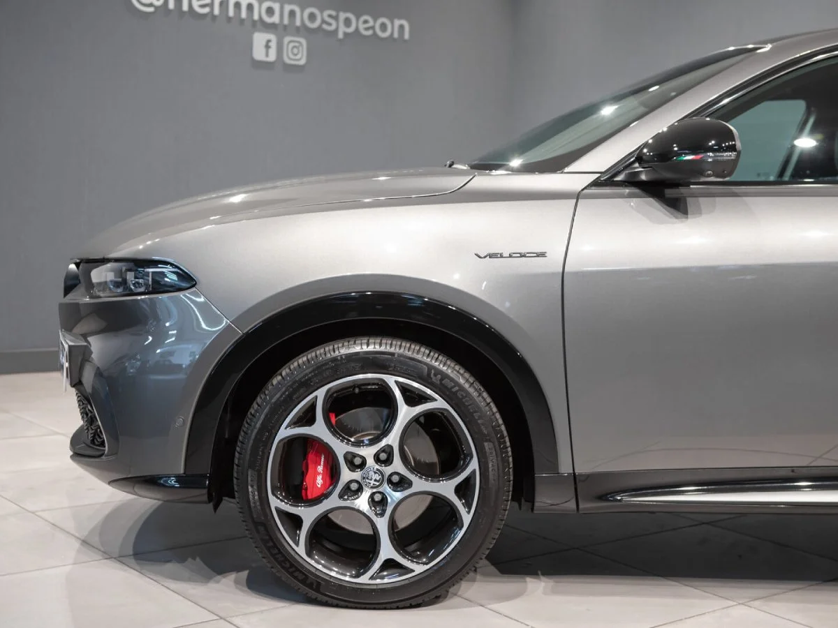 Zona motor