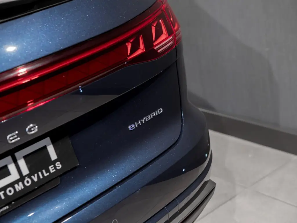 Detalle eHybrid